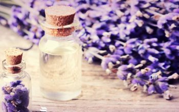 Întrebuințări diverse ale lavandei