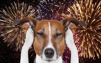 Petardele şi focurile de artificii, …