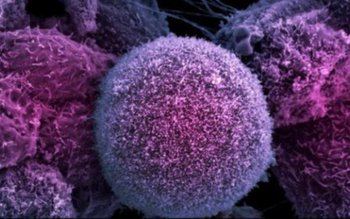 Aceşti paraziţi te mănâncă de …