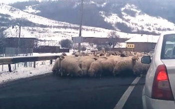 Drum european blocat de o …