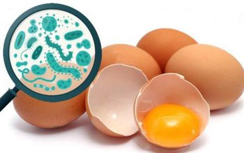 Peste 100.000 de ouă contaminate …