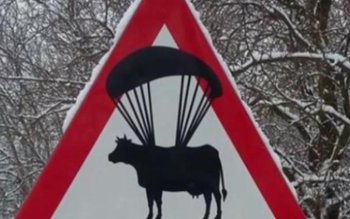 Șofer pus în dificultate de …