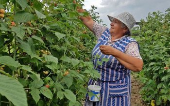 50 locuri de muncă în …