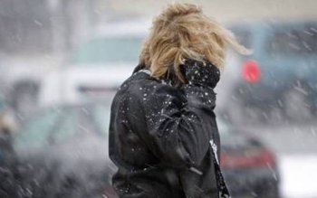 Cod portocaliu şi galben de …