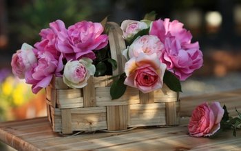 Astăzi, mare sărbătoare în calendar! …