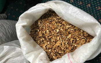 Contrabandă cu miez de nucă …