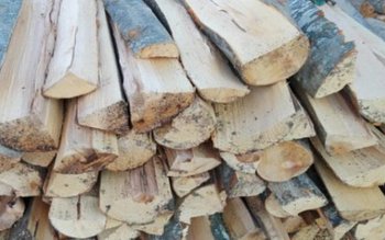 Material lemnos confiscat de polițiști …