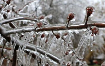 Prognoza meteo pentru săptămâna viitoare. …