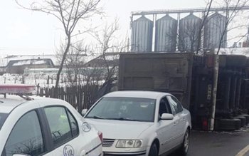 Un camion încărcată cu floarea …