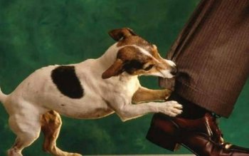 Cum trebuie să procedezi atunci …