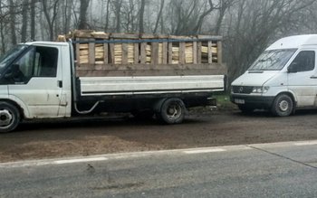 Acţiunea Scutul Pădurii: Amendă de …