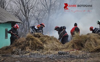 Furaje mistuite de flăcări la …