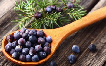 Planta care te ajută să …