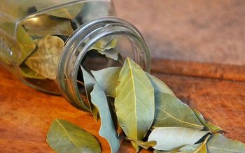 Frunzele de dafin ajuta la …