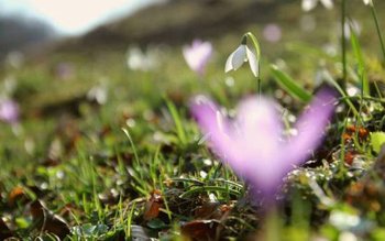 Prognoza meteo pentru luna martie, …