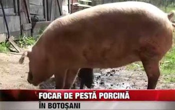 Autoritățile județene fac un nou …
