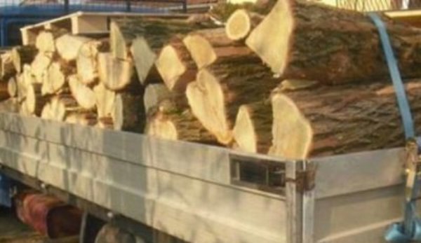 Mai mulți metri cubi de material lemnos confiscat de poliţiştii botoșăneni