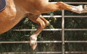 Bărbat din Coțușca în stare …