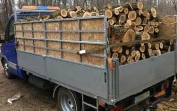 Amendă de 5.000 de lei …