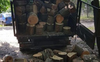 Lemn de foc fără documente …