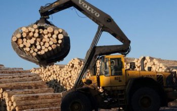 Firmă din Hudum, amendată cu …