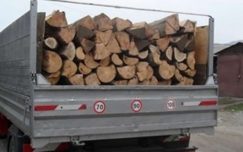 Transport ilegal lemn! A rămas …