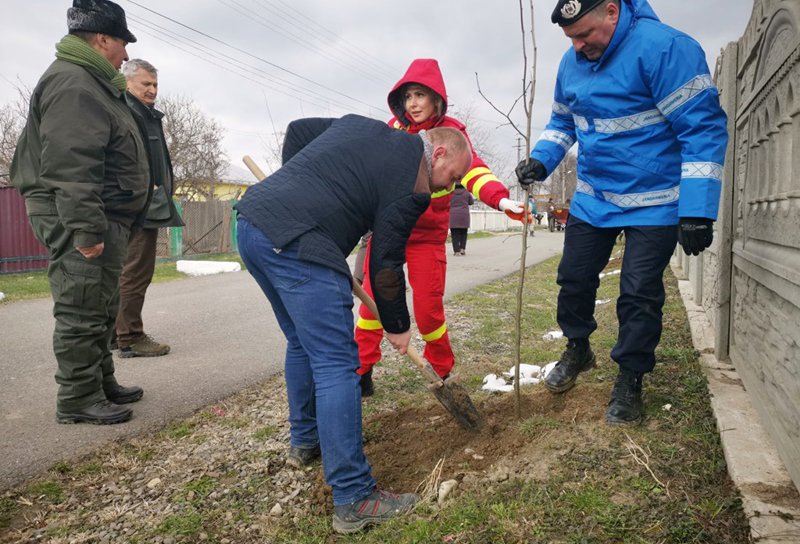 „Luna plantării arborilor” continuă cu o nouă acțiune, de această dată la Vârfu Câmpului – FOTO