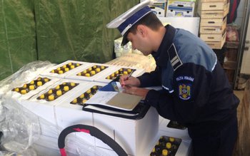 NEREGULI! Ce au descoperit poliţiştii …