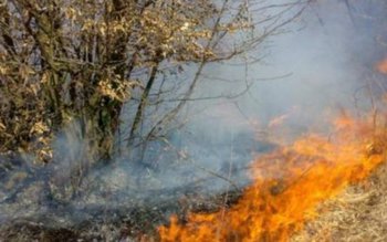 Dezastru în județ din cauza …