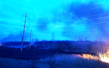 Incendiile de vegetaţie pun în …