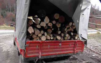 Transport ilegal lemn! Au rămas …