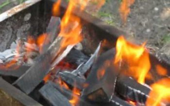 Panică în Botoșani! Au vrut …