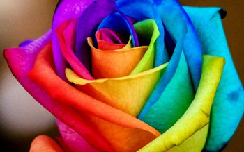 De ce unele persoane nu …