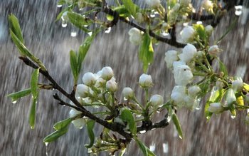 Se întoarce iarna în România! …