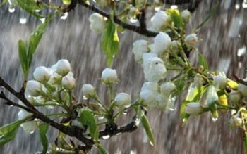 Cum va fi vremea de …