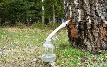 Cum se poate slăbi cu …