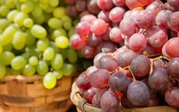 Strugurii, o sursă naturală de …