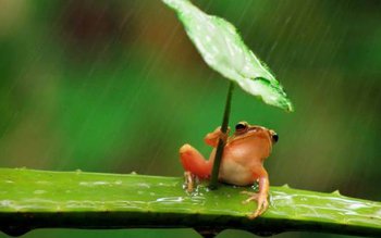 Val de aer polar peste …