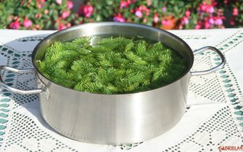 Sirop muguri de brad rețetă. …