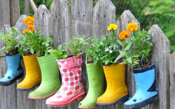 Prognoza meteo a fost revizuită. …