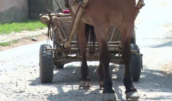 Bărbat decedat după ce a fost lovit de o mașină și a căzut din căruță