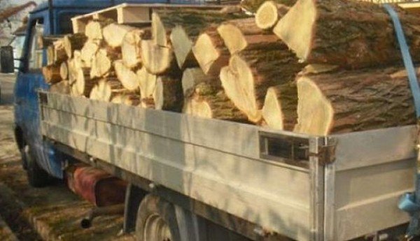 Amendă și material lemnos confiscat de poliţişti la Truşeşti
