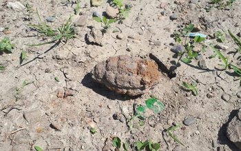 Descoperire periculoasă. Un bărbat a …