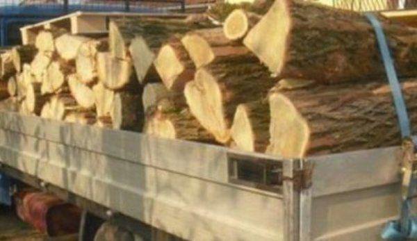Botoșănean sancționat pentru transportul ilegal de material lemnos