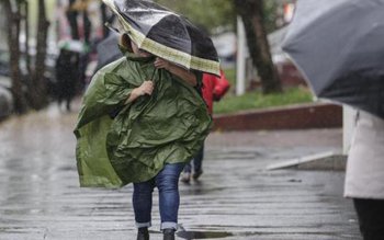 Cod portocaliu de vreme rea. …