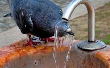 42 de grade în iunie! …