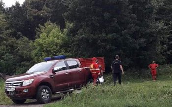 Femeie rătăcită în pădure! Zeci …