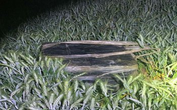 Focuri de armă trase de …