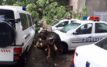 Mașini de poliție distruse de …