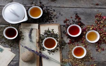 Cafeaua din plante pentru cei …